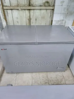 Ezzel Deep Freezer Fridge 500l