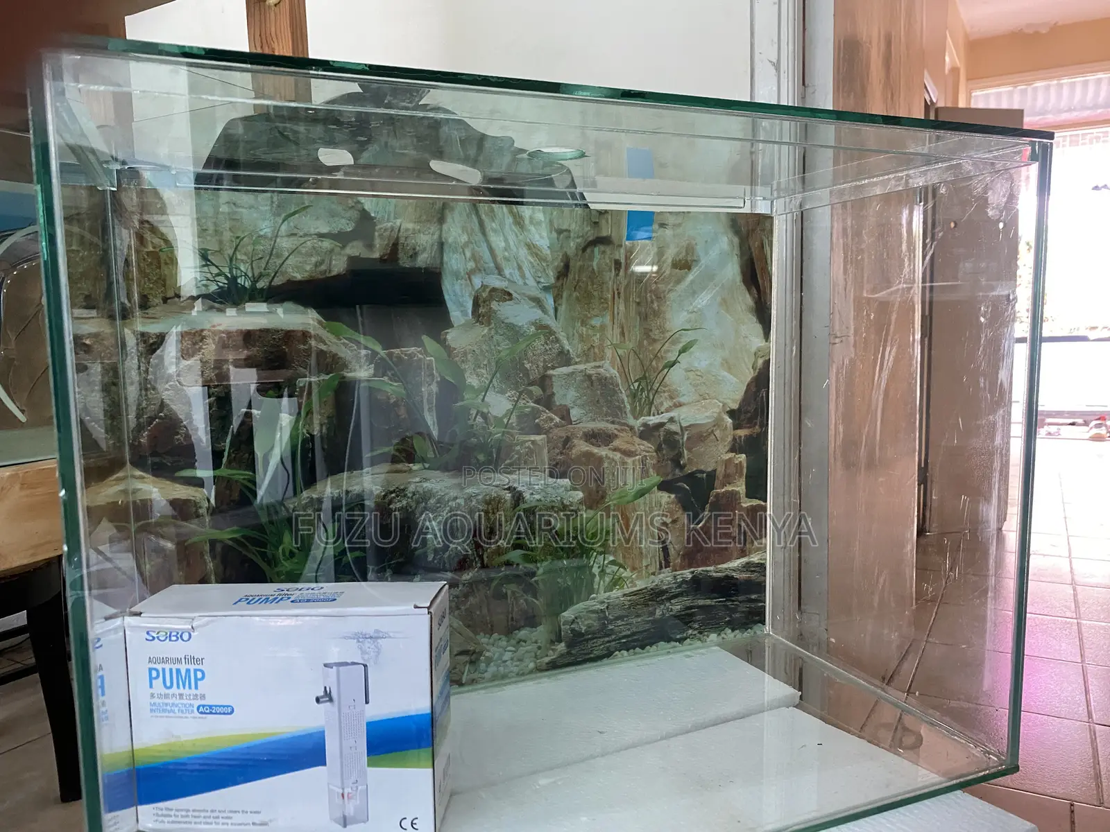 Elegant 2ft Aquarium – Perfect Size for Your Space