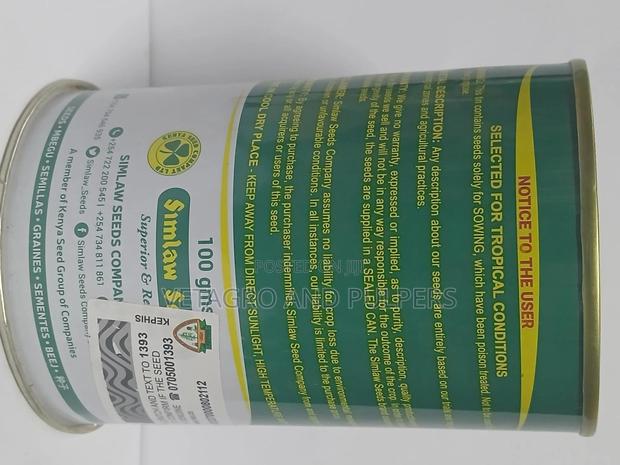 Capsicum Super Wonder - thumbnail 3