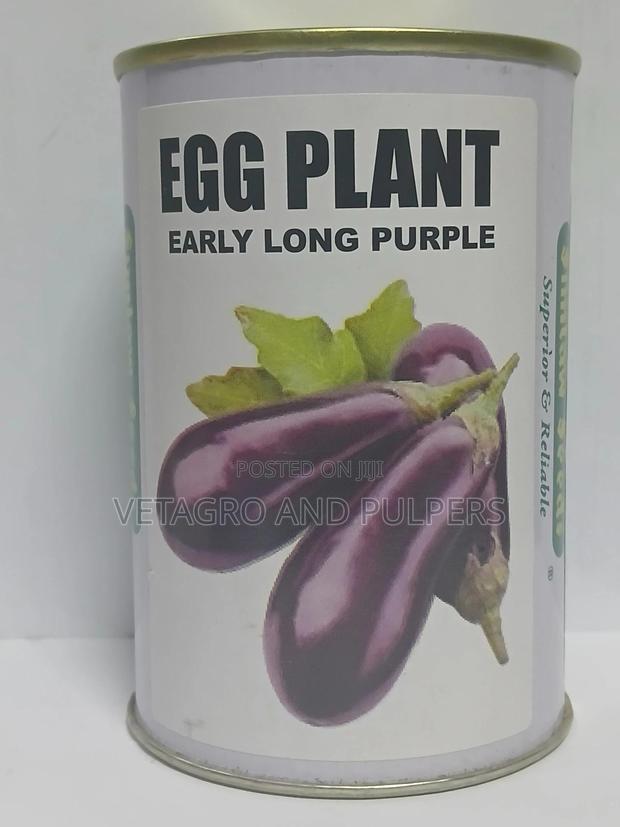 Egg Plant (Early Long Purple) - main view