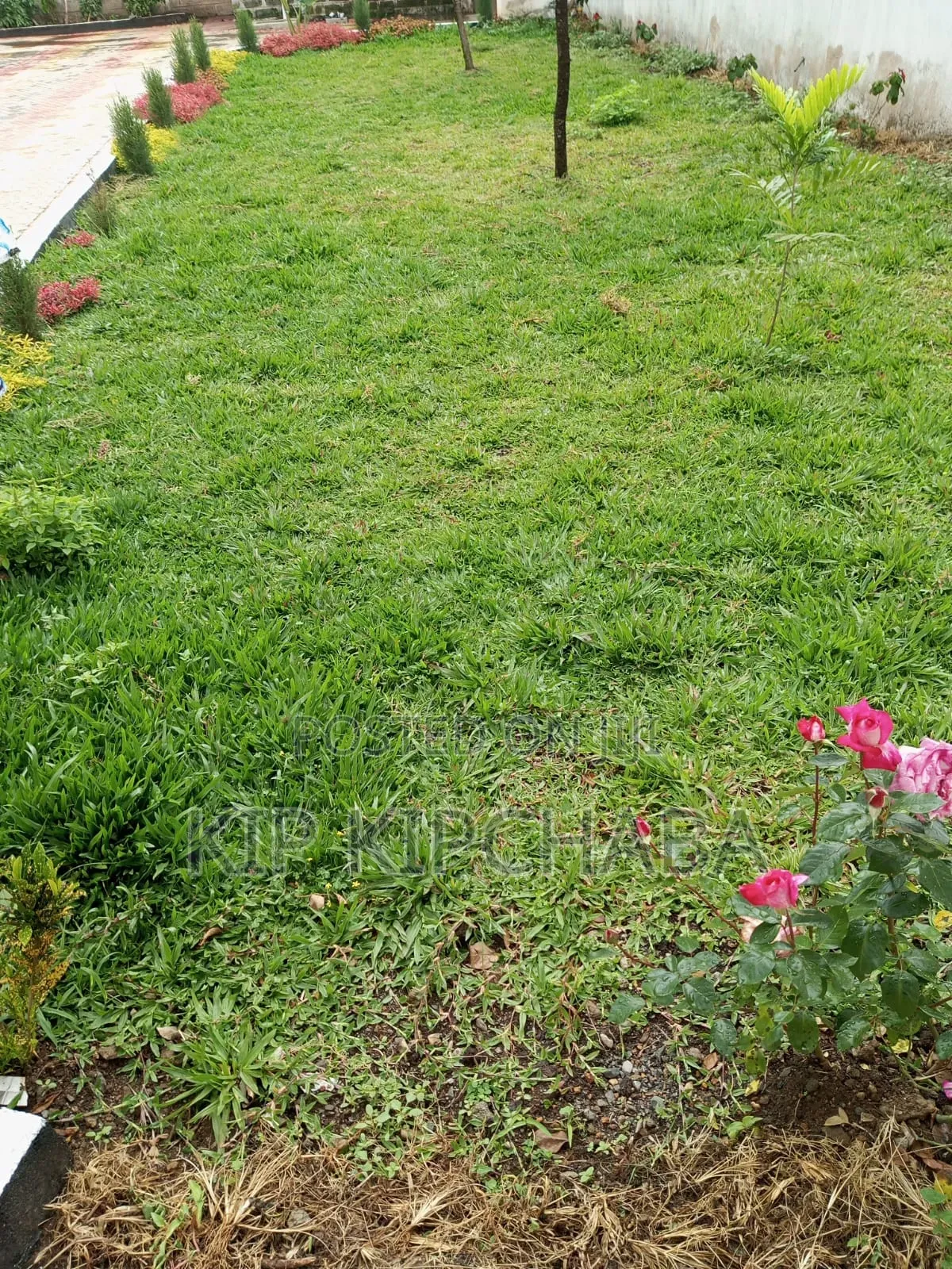 5bdrm Mansion in Racecours, Racecourse for sale