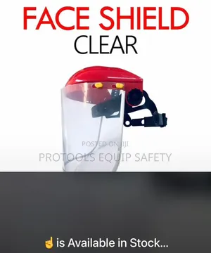 Face Shield