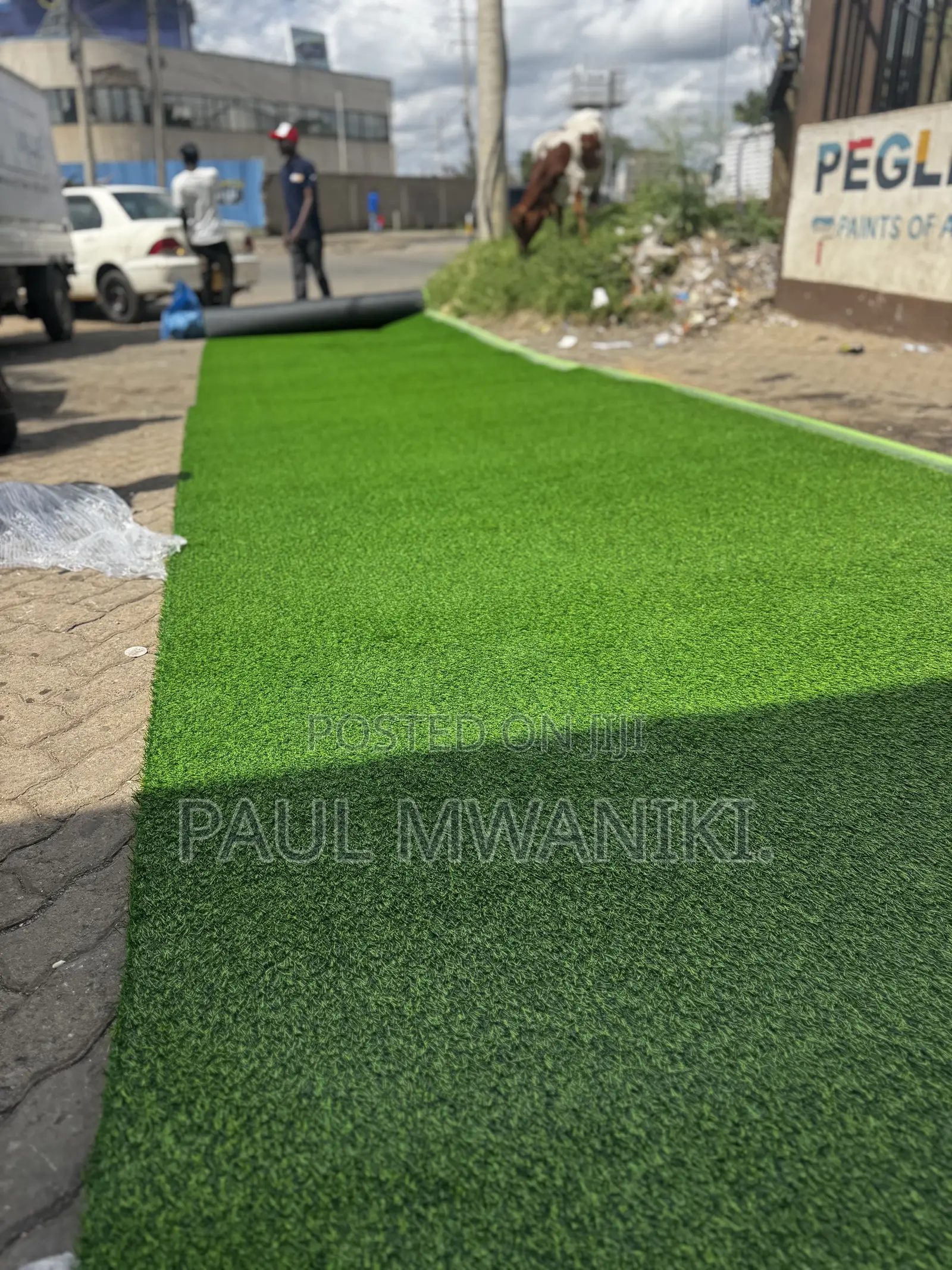 Artificial Turf Grass - Outdoor/Indoor