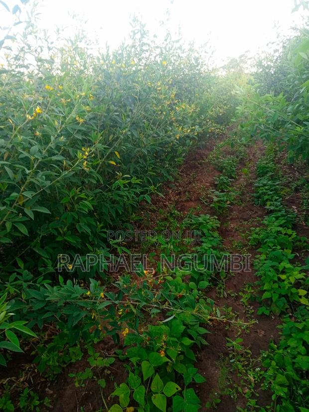 Three (3) Prime Acres at Masii Machakos - thumbnail 17