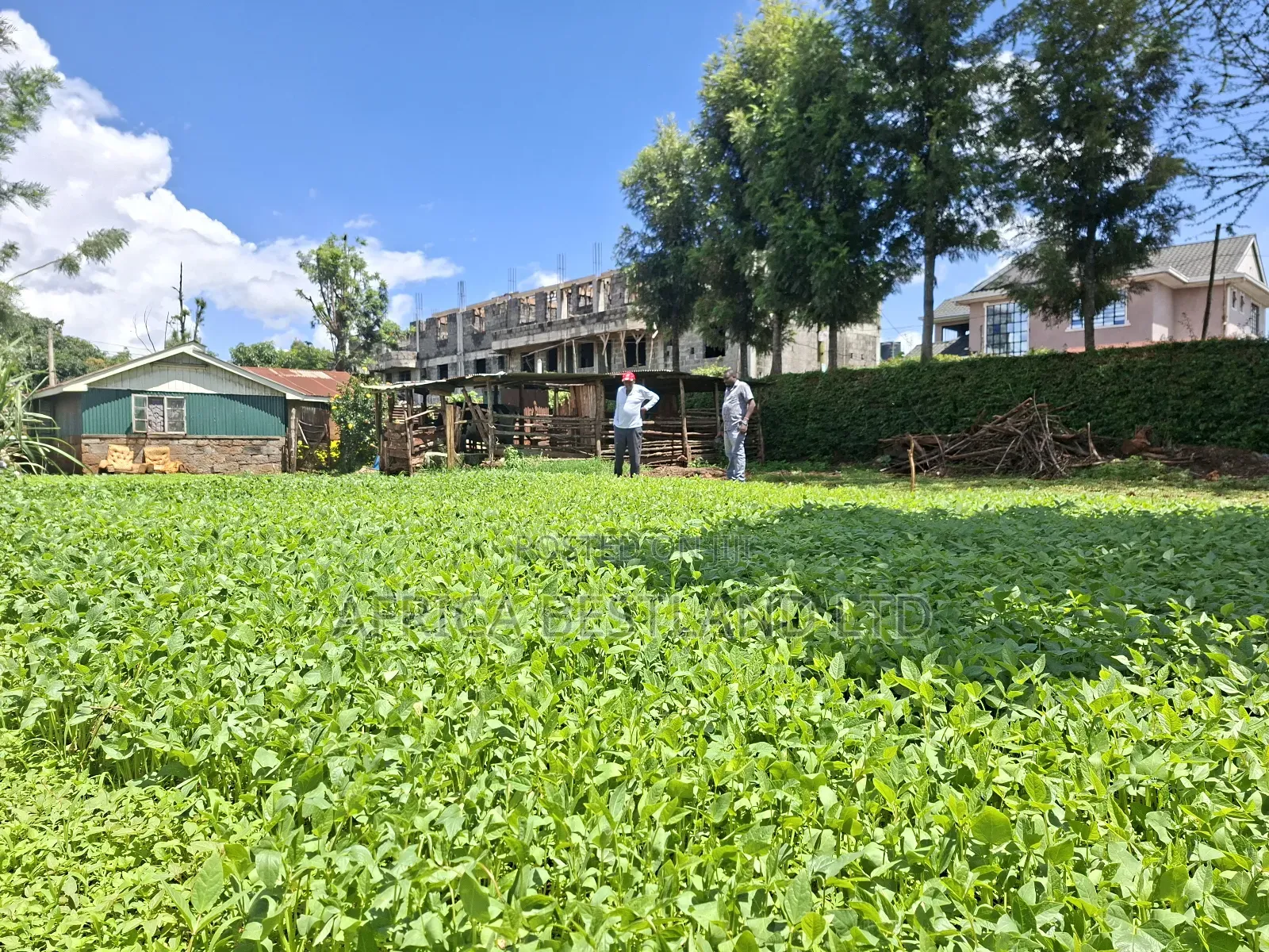 50x100 Available Plot for Sale in Gathiga Kabete