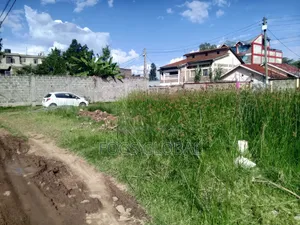 Kimbo 2 Commercial Plots 40x60