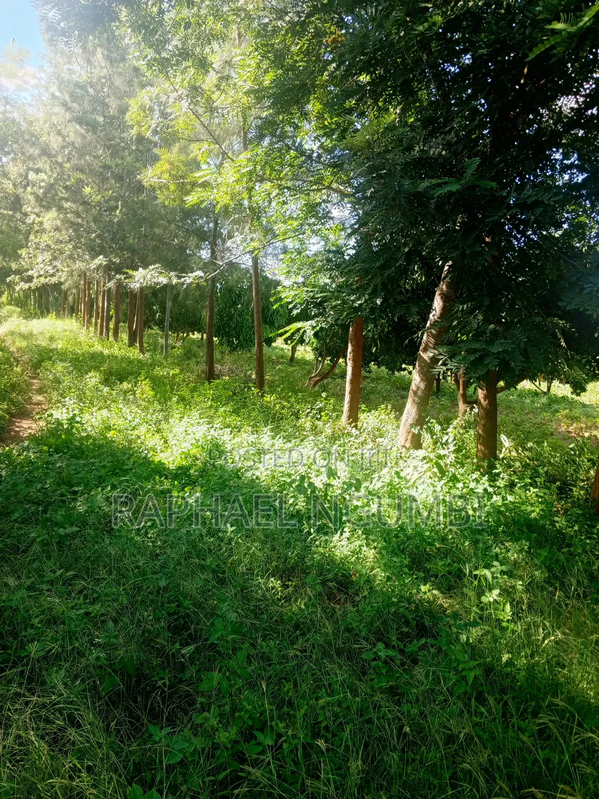 15 Acres at Masii Mwala Musaalani
