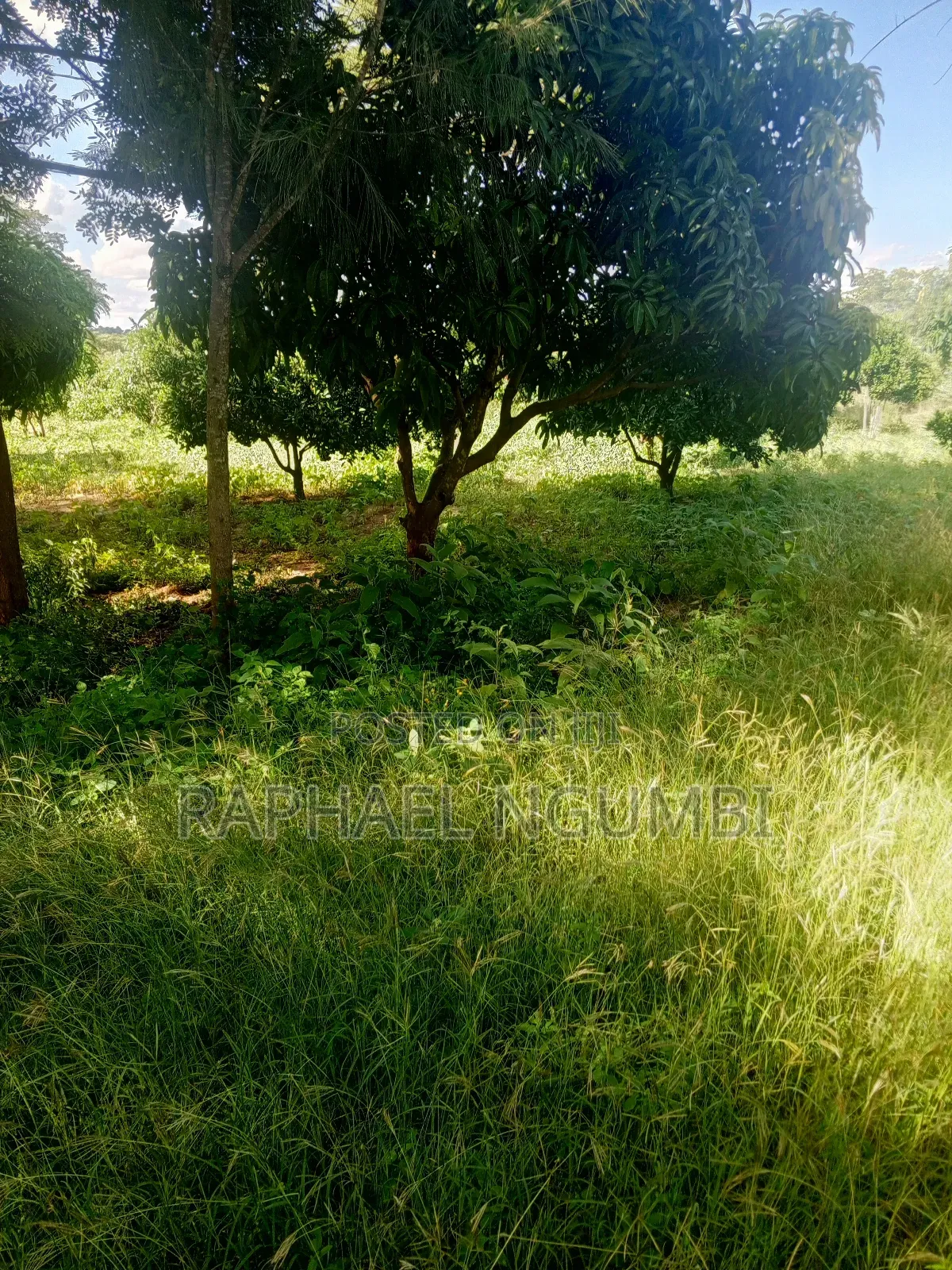 15 Acres at Masii Mwala Musaalani