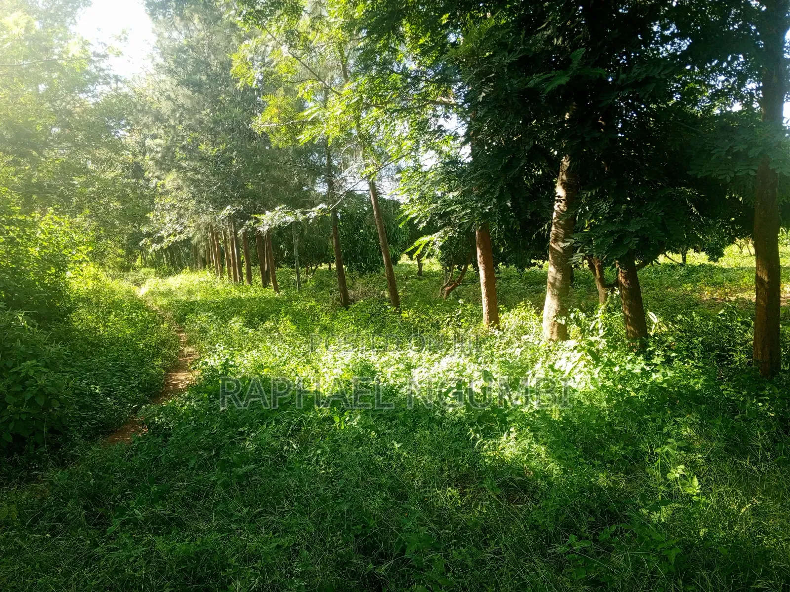 15 Acres at Masii Mwala Musaalani
