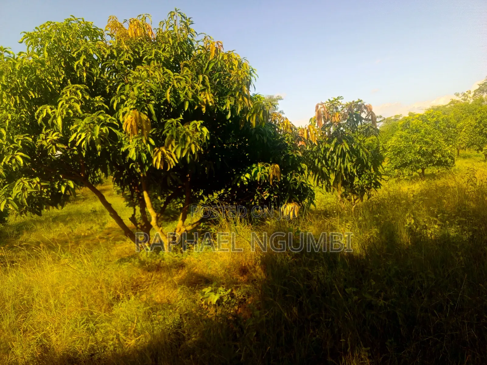 15 Acres at Masii Mwala Musaalani