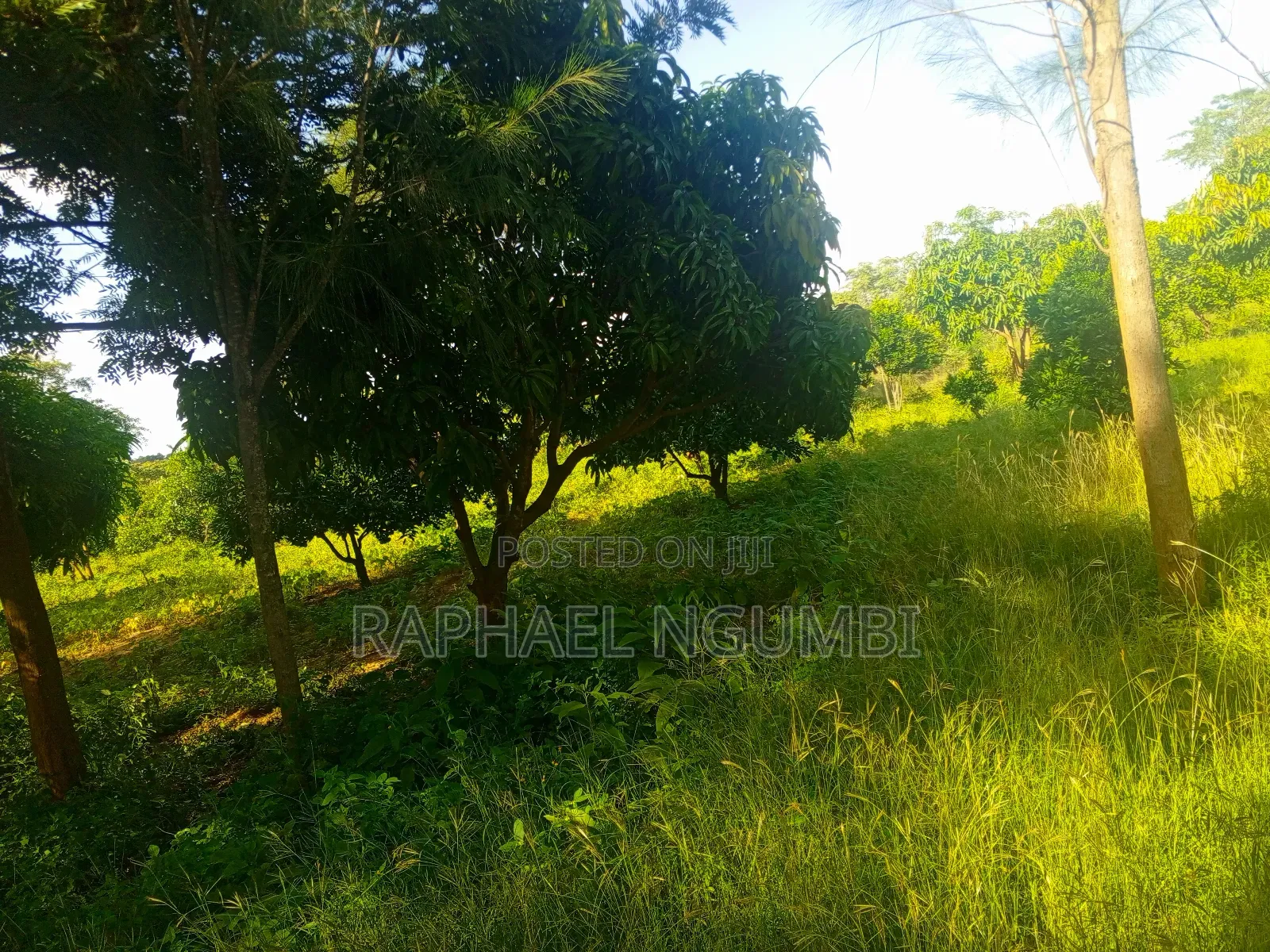 15 Acres at Masii Mwala Musaalani