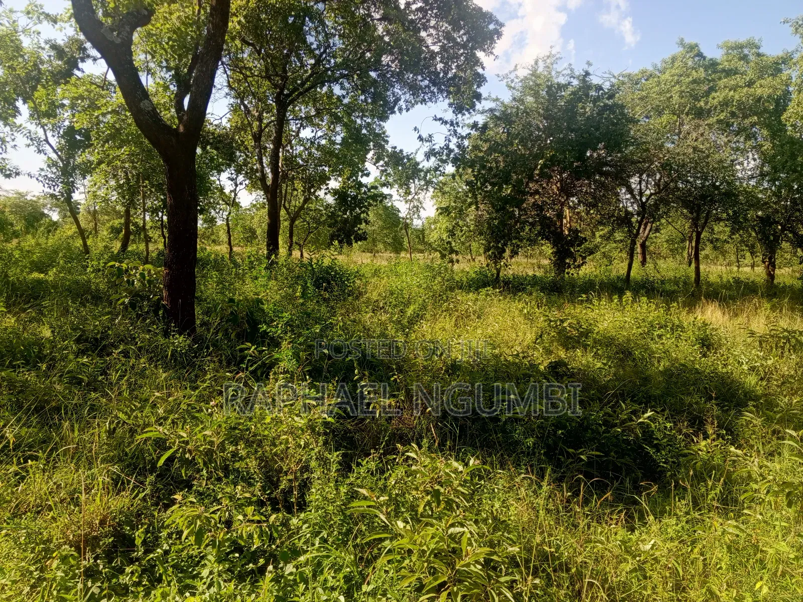 15 Acres at Masii Mwala Musaalani
