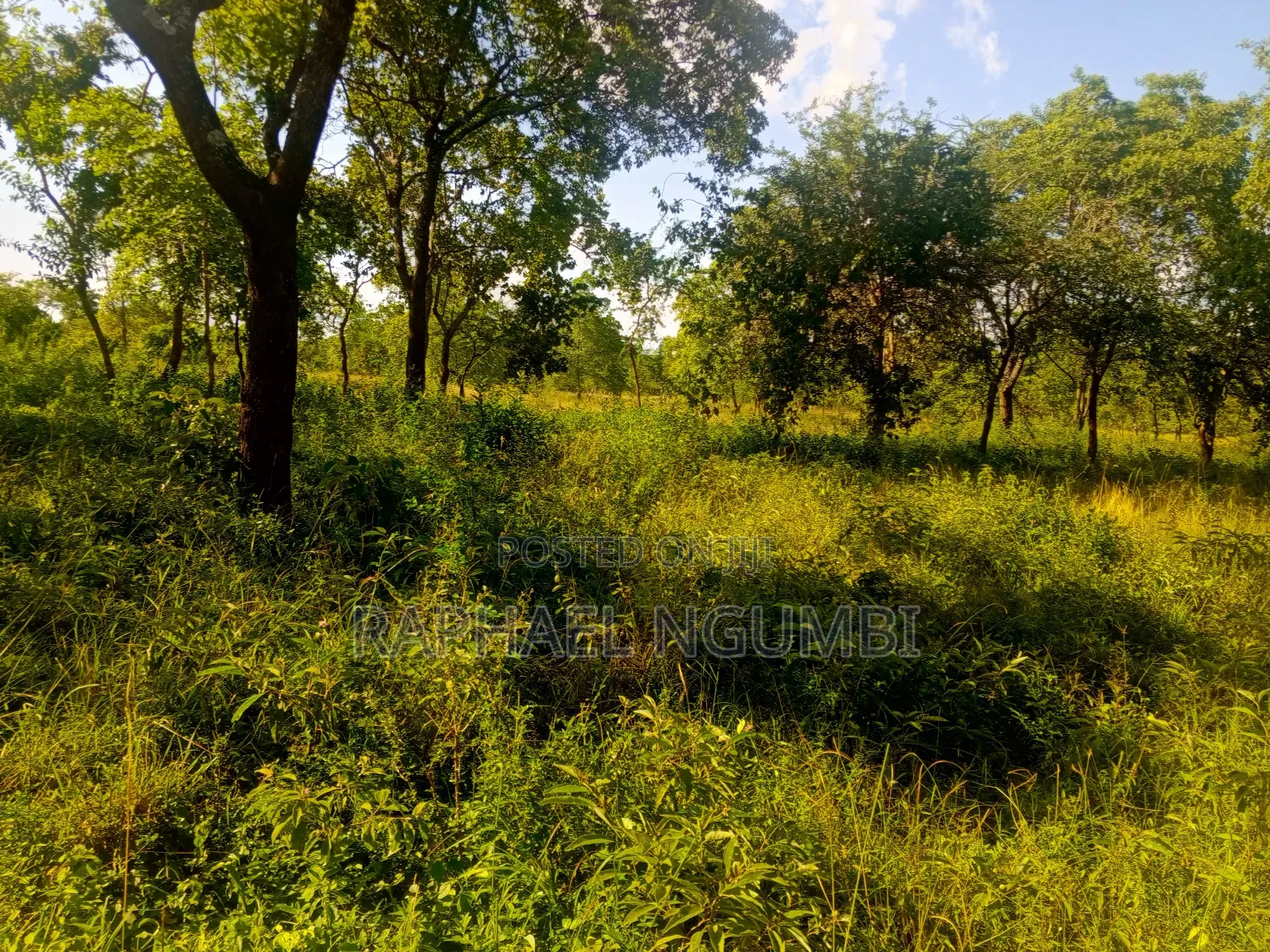 15 Acres at Masii Mwala Musaalani