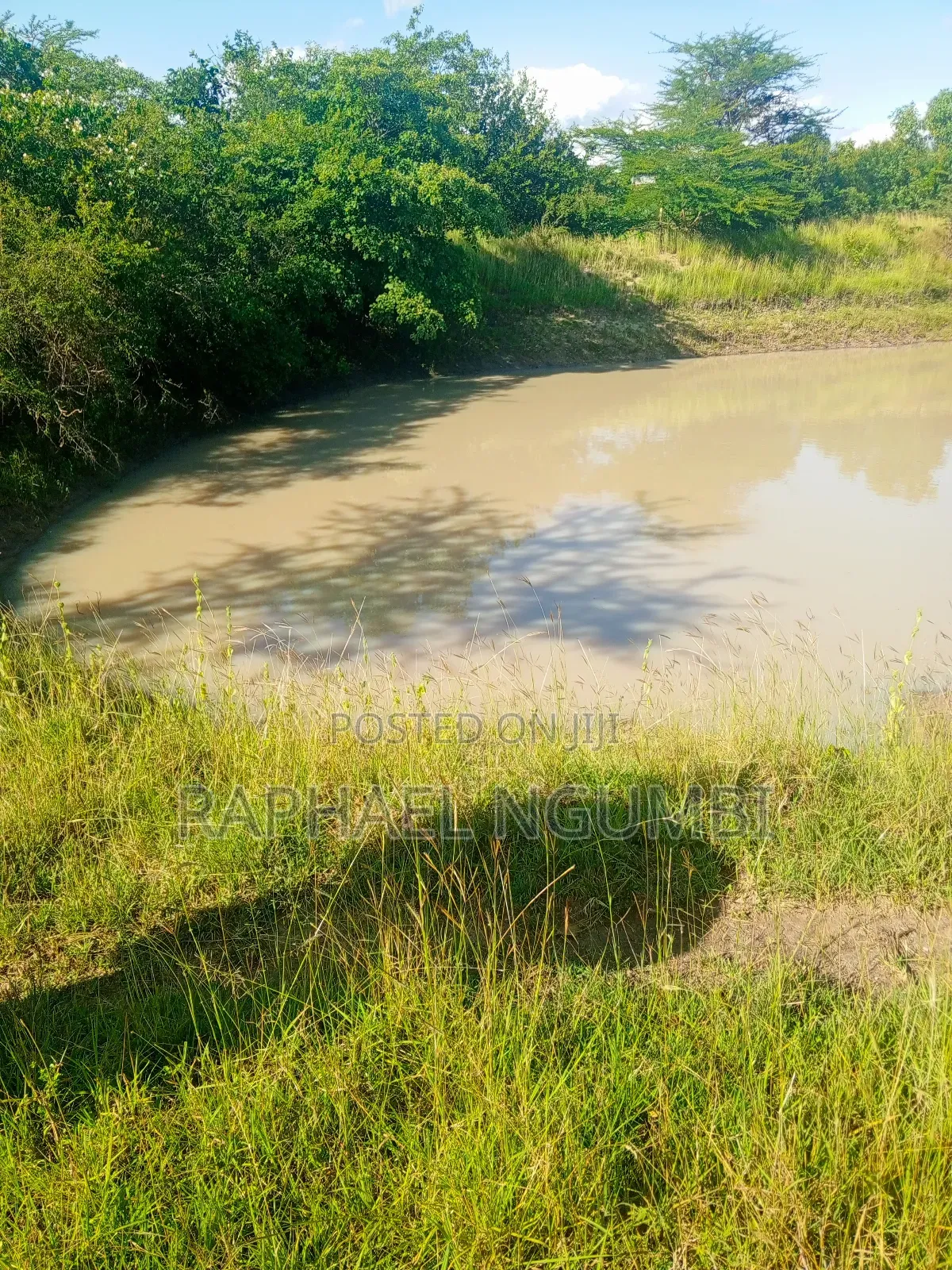 15 Acres at Masii Mwala Musaalani