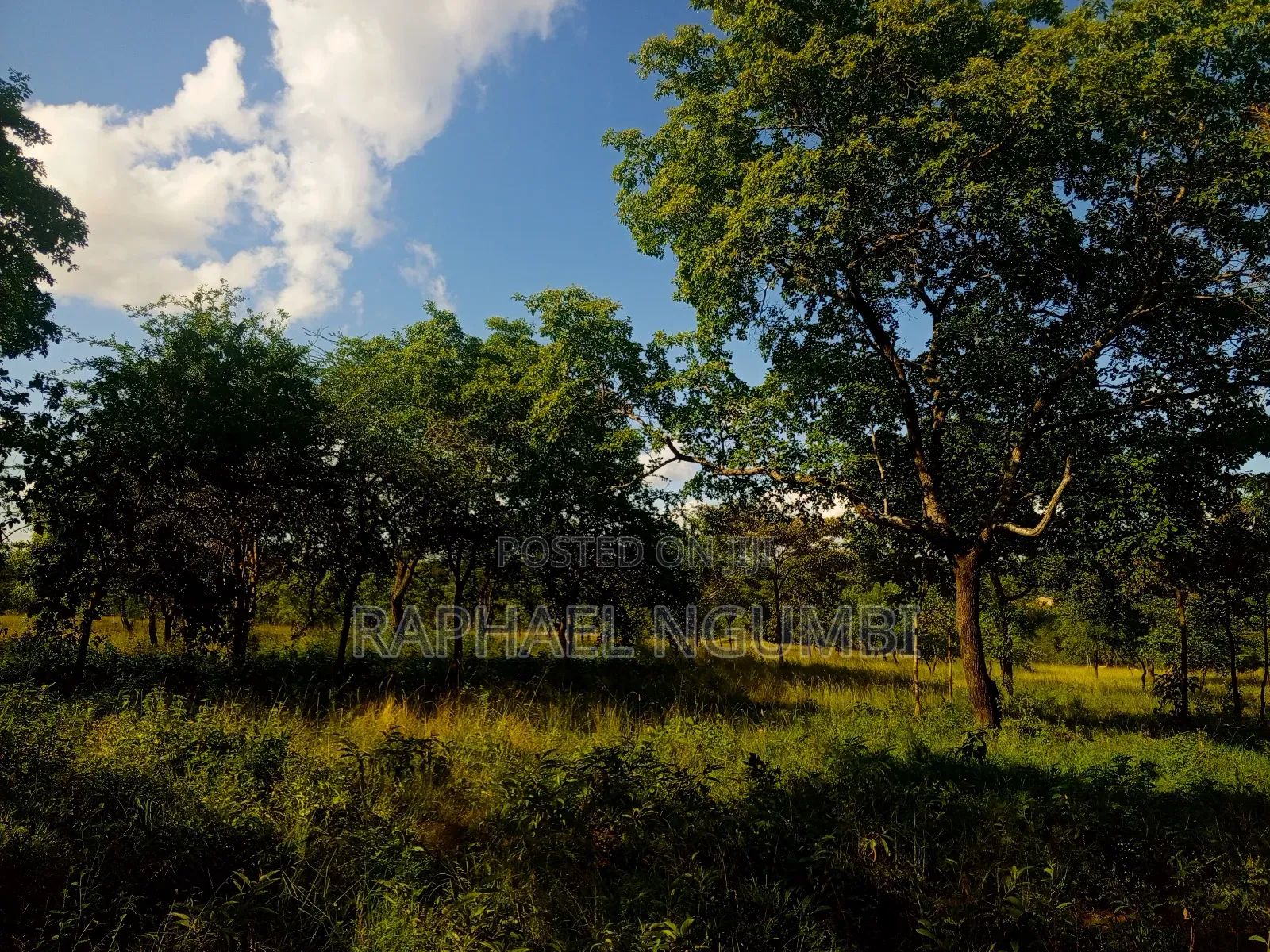15 Acres at Masii Mwala Musaalani