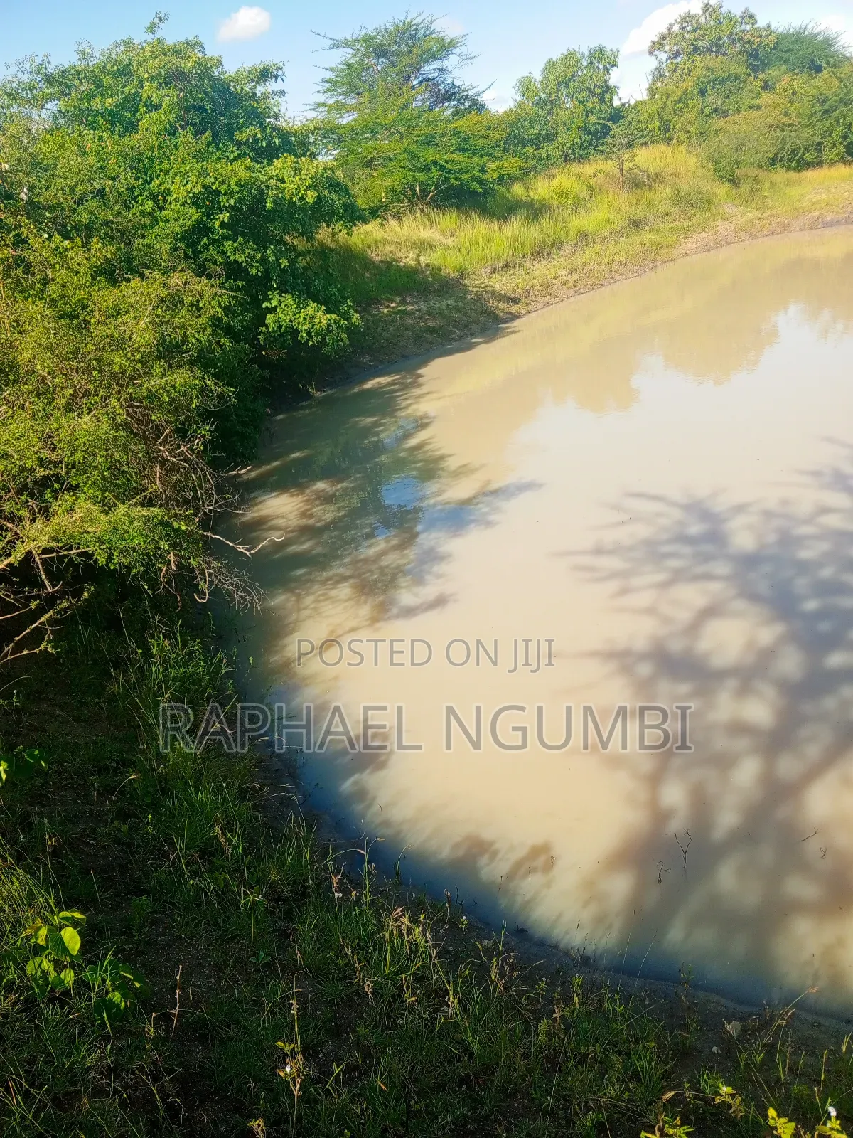 15 Acres at Masii Mwala Musaalani