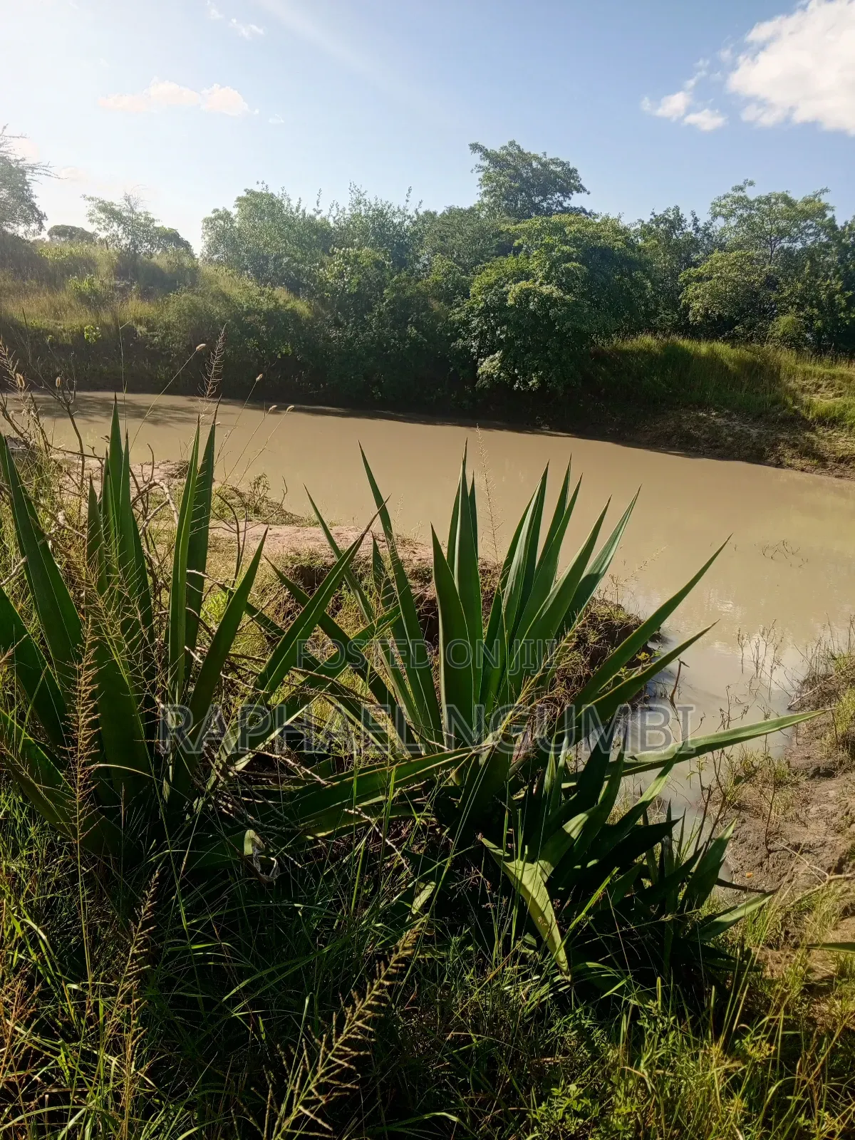 15 Acres at Masii Mwala Musaalani