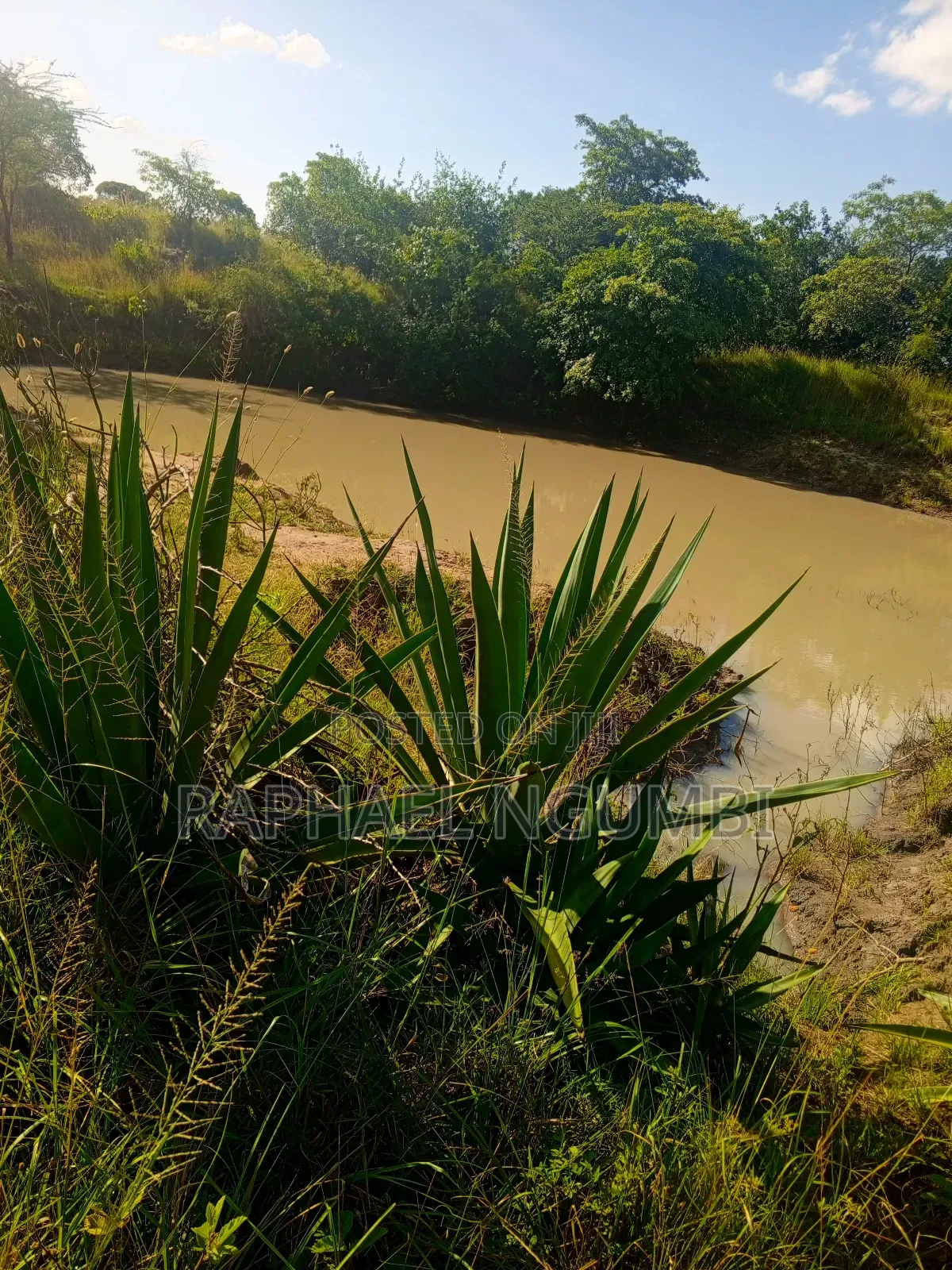 15 Acres at Masii Mwala Musaalani
