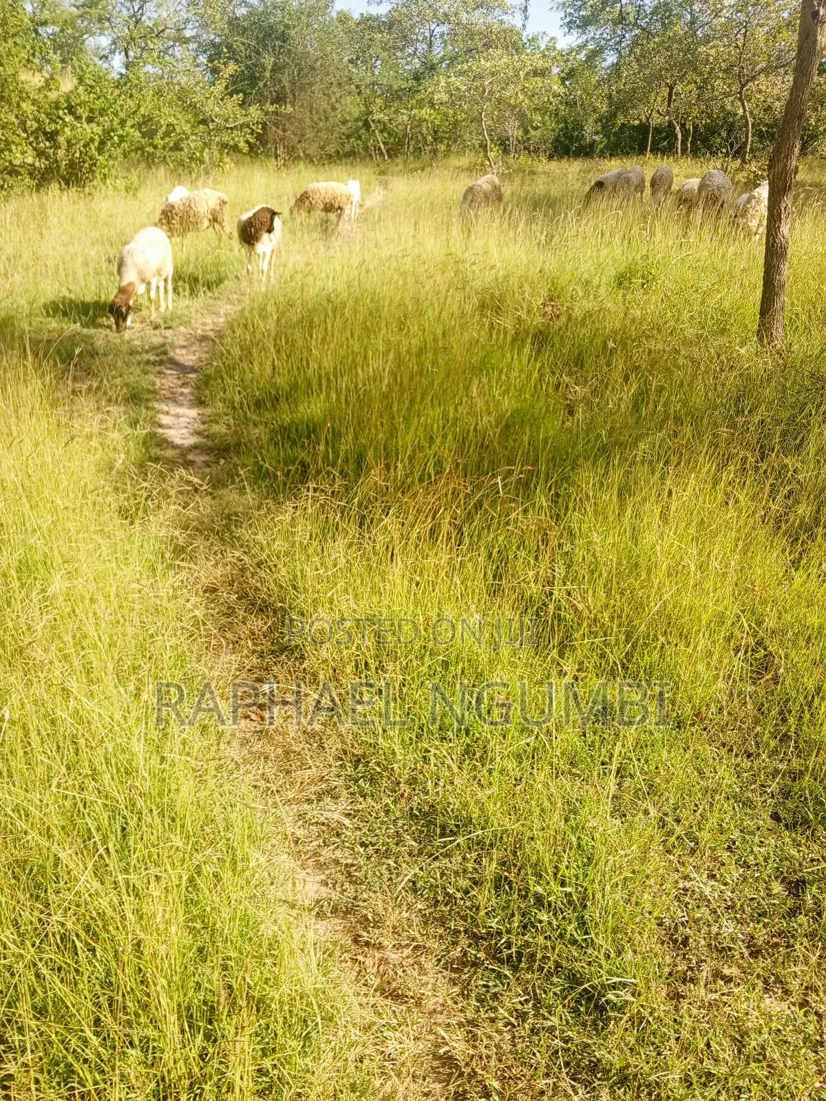 15 Acres at Masii Mwala Musaalani