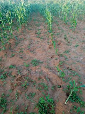 One (1) Acre at Mwala - thumbnail 2
