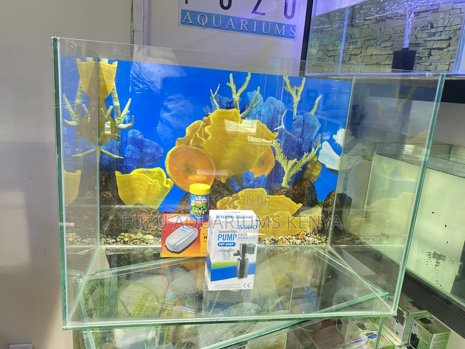 Compact Aquarium for Small Spaces – 2 Feet Wide