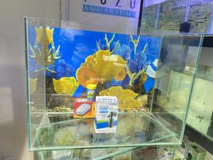 Compact Aquarium for Small Spaces – 2 Feet Wide - thumbnail 2