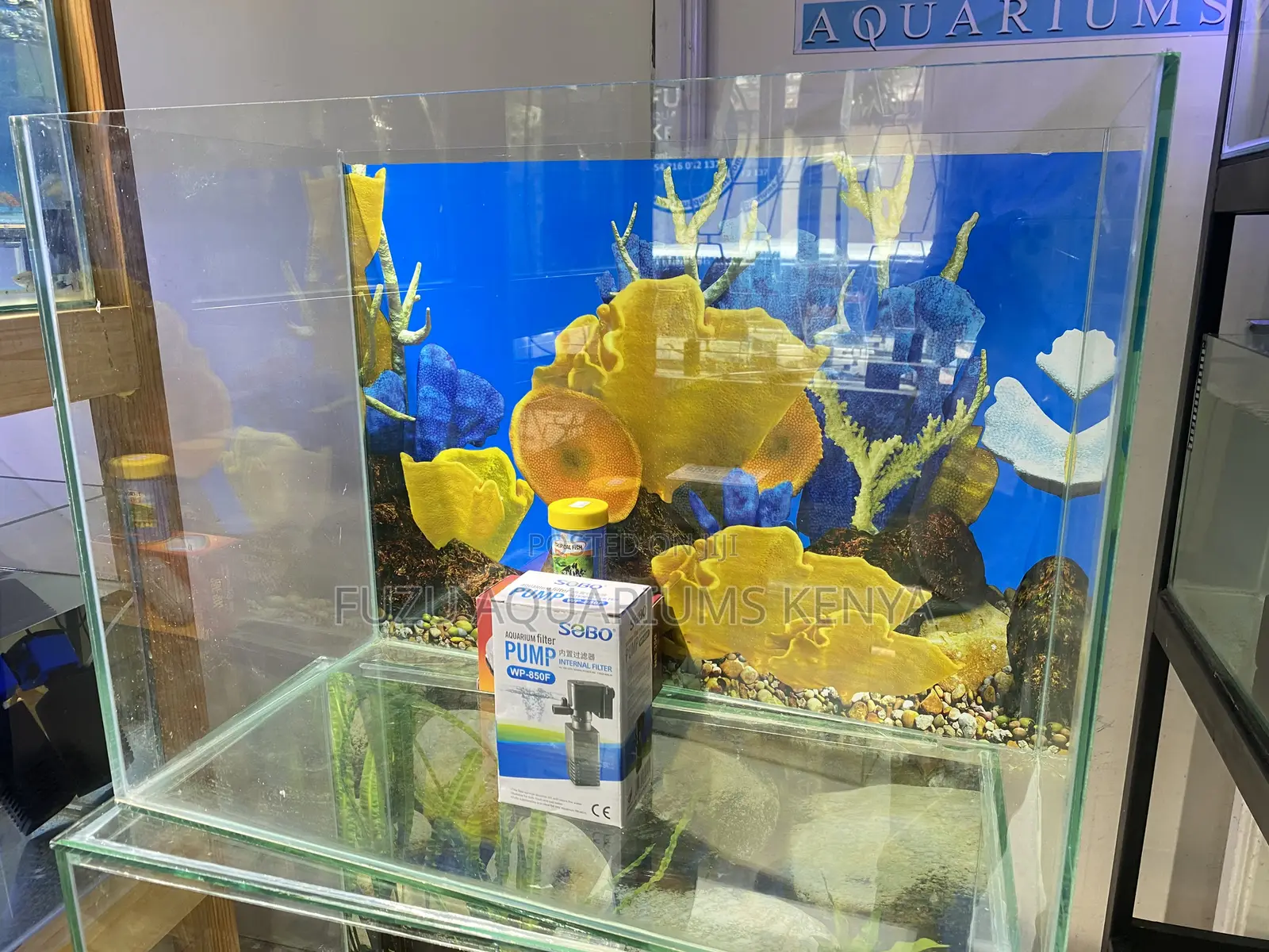 Vibrant 2ft Aquarium – Comes With Fish Filter