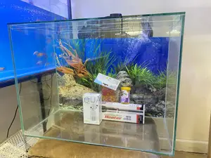 Aquarium Deal – 60l Set for Beginners