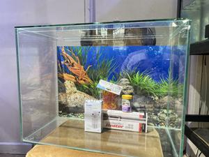 Stunning Aquarium With Led Light – Order Now - thumbnail 2