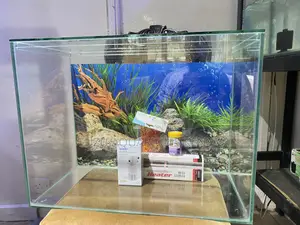 2ft Aquarium With Pump, Gravel Plants – All in One