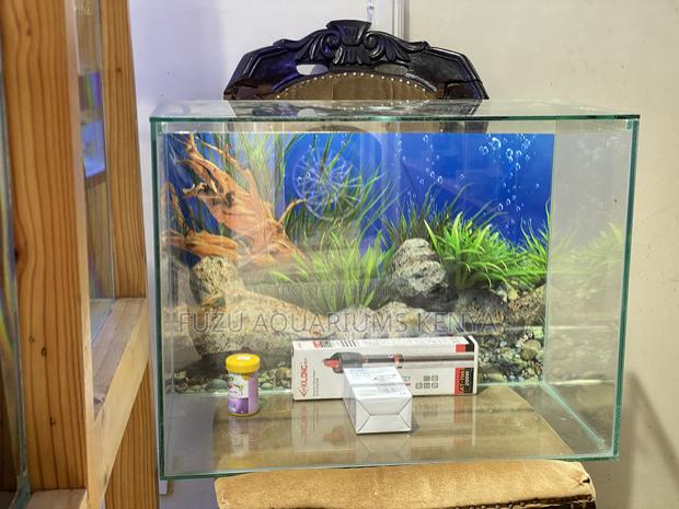 Aquarium Combo – Fish, Filter Fun - main view