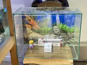 Minimalist 60l Aquarium – Ideal for Apartments