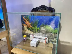 Classic Aquarium Set – Delivered Across Nairobi