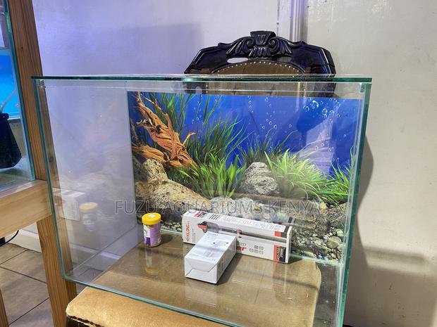 Classic Aquarium Set – Delivered Across Nairobi