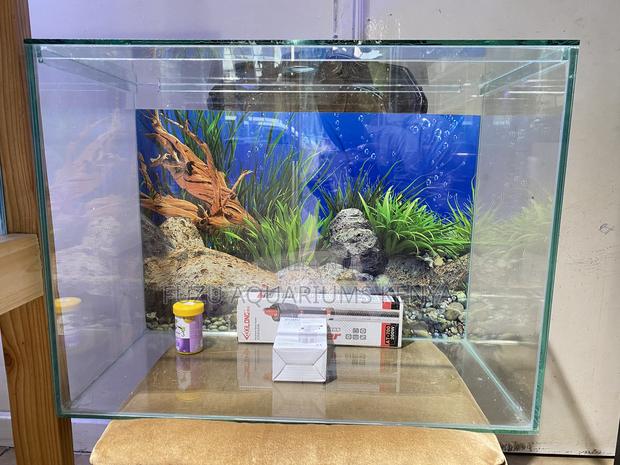 Home Aquarium Starter Kit – 60 Litres Ready - main view