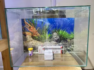 Best Aquarium Deals – Limited Stock