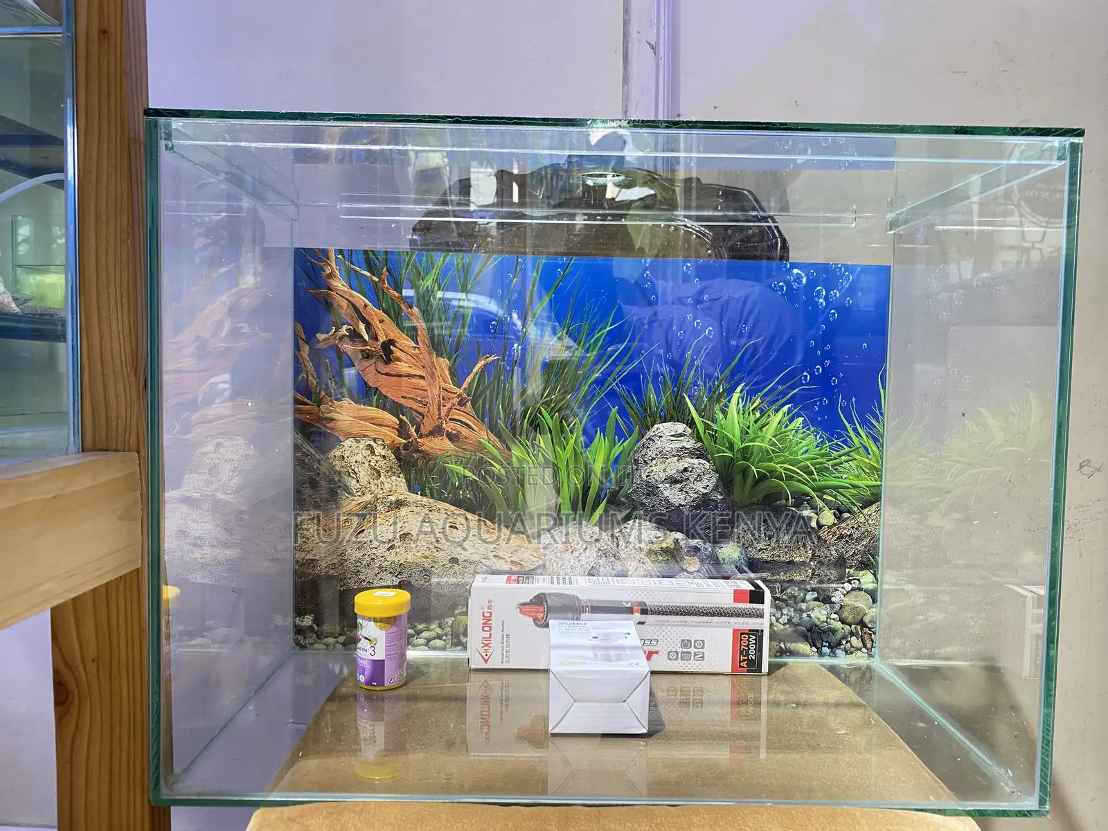 2ft Aquarium for Fish Lovers – Complete Starter Pack