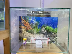 2ft Aquarium for Fish Lovers – Complete Starter Pack
