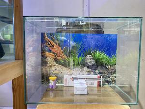 Affordable Aquarium Set – Nairobi Delivery - thumbnail 2