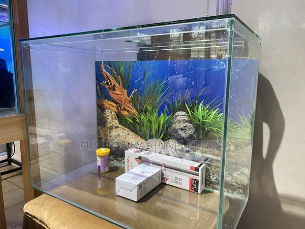 Modern Aquarium – 60l of Underwater Bliss - main view