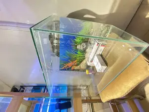 All-Inclusive 2ft Aquarium – Just Plug Play