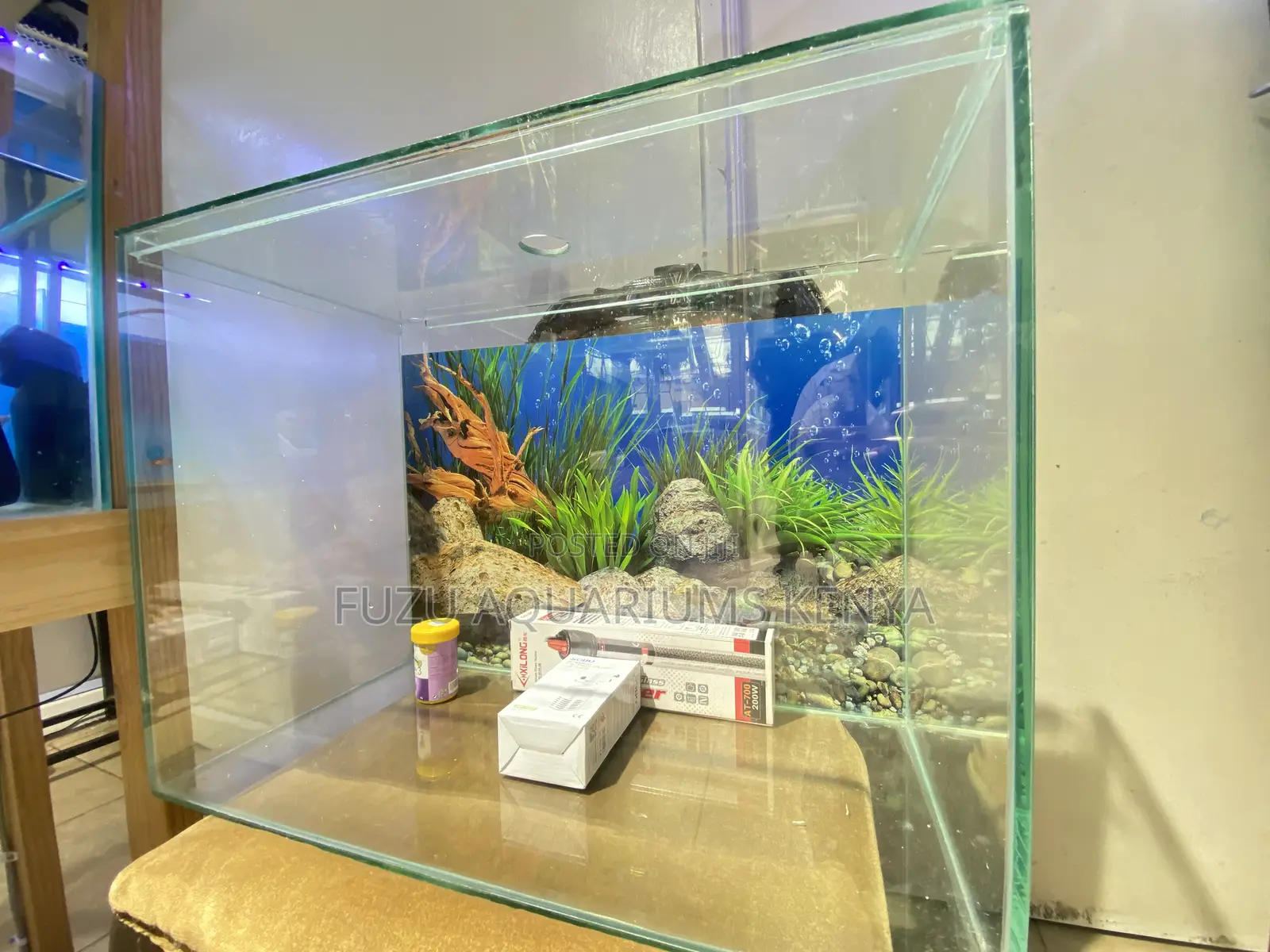 60 Litre Aquarium With Everything You Need