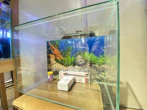 60 Litre Aquarium With Everything You Need - thumbnail 2