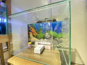 60 Litre Aquarium With Everything You Need
