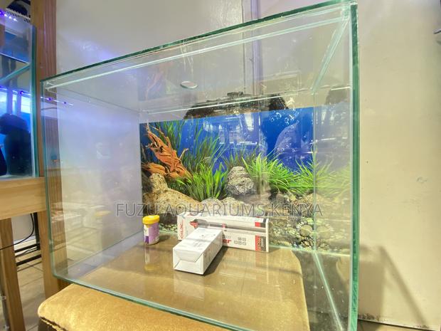 60 Litre Aquarium With Everything You Need - main view