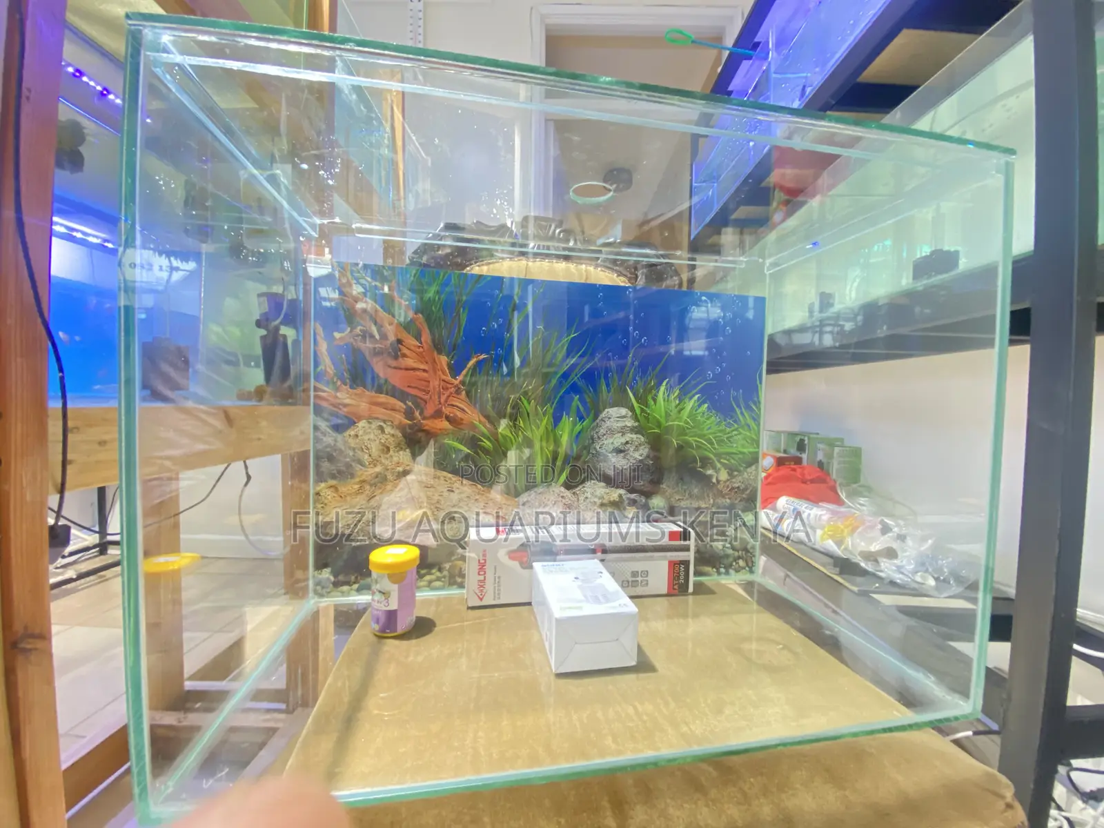 2ft Aquarium Set With Stylish Design