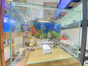 2ft Aquarium Set With Stylish Design