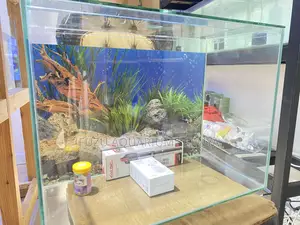 Aquarium for Sale – Nairobi’S Finest Fish Tank