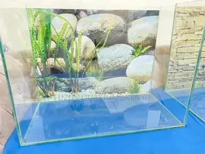 60l Aquarium With Filter Decorations Included
