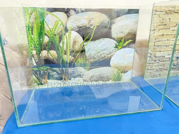 60l Aquarium With Filter Decorations Included